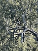 photo thumbnail #15