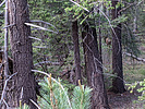photo thumbnail #14
