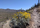 photo thumbnail #4