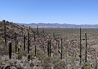 photo thumbnail #6