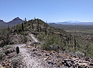 photo thumbnail #7
