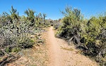 2022-03-17 :1: McDowell Sonoran Preserve Southeastern Loop :: tibber