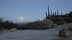 photo thumbnail #1