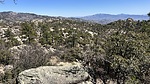 photo thumbnail #5