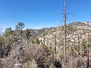 recent photo