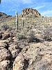 photo thumbnail #4