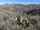 photo thumbnail #5