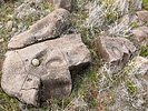 photo thumbnail #9