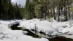 photo thumbnail #10