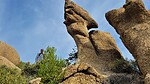 photo thumbnail #5