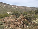 photo thumbnail #2