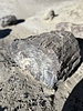 photo thumbnail #9