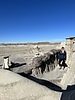 photo thumbnail #13