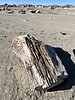 photo thumbnail #15