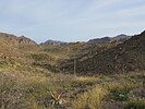 photo thumbnail #3