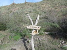 photo thumbnail #9