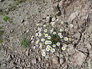 photo thumbnail #14