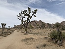 photo thumbnail #3