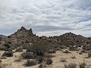 photo thumbnail #4