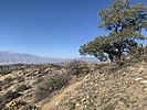 photo thumbnail #3