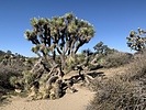 photo thumbnail #4