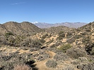 photo thumbnail #1
