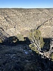 recent photo