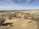 photo thumbnail #3