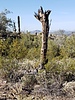 photo thumbnail #4