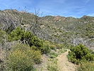 photo thumbnail #1