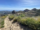 photo thumbnail #7