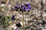 photo thumbnail #15