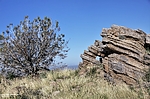 photo thumbnail #8