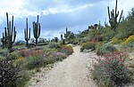 photo thumbnail #4