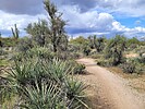 2022-03-20 :1: Granite Mountain Big Loop plus :: tibber