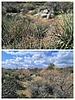 2022-03-20 :1: Granite Mountain Big Loop plus :: tibber