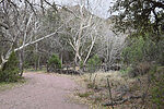 photo thumbnail #5