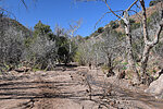 photo thumbnail #5