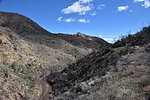 photo thumbnail #7
