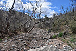 photo thumbnail #9