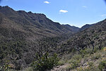 photo thumbnail #12