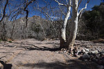 photo thumbnail #13