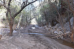 photo thumbnail #14