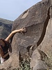 photo thumbnail #3