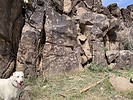 photo thumbnail #7