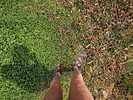 photo thumbnail #12