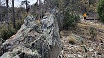 photo thumbnail #7