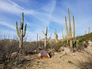 photo thumbnail #8