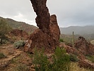 photo thumbnail #3