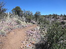 photo thumbnail #4